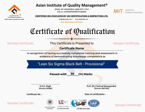 Lean Six Sigma Black Belt Provisional Certificate