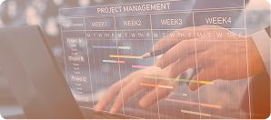 Project Management